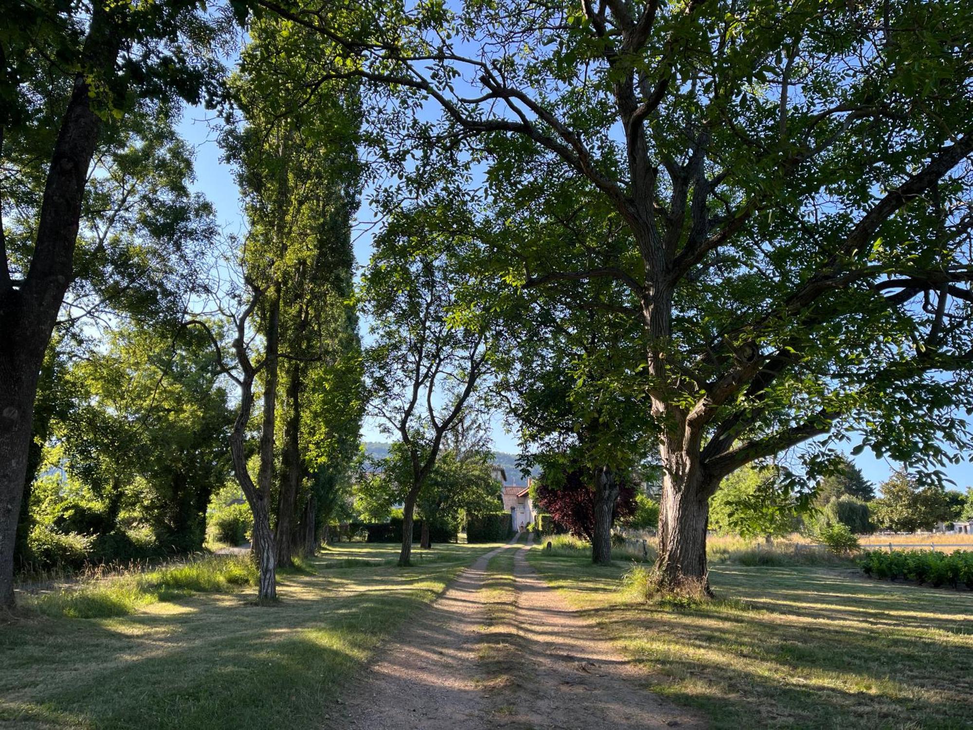 Villa Domaine De La Baisse Saint-Etienne-la-Varenne Esterno foto